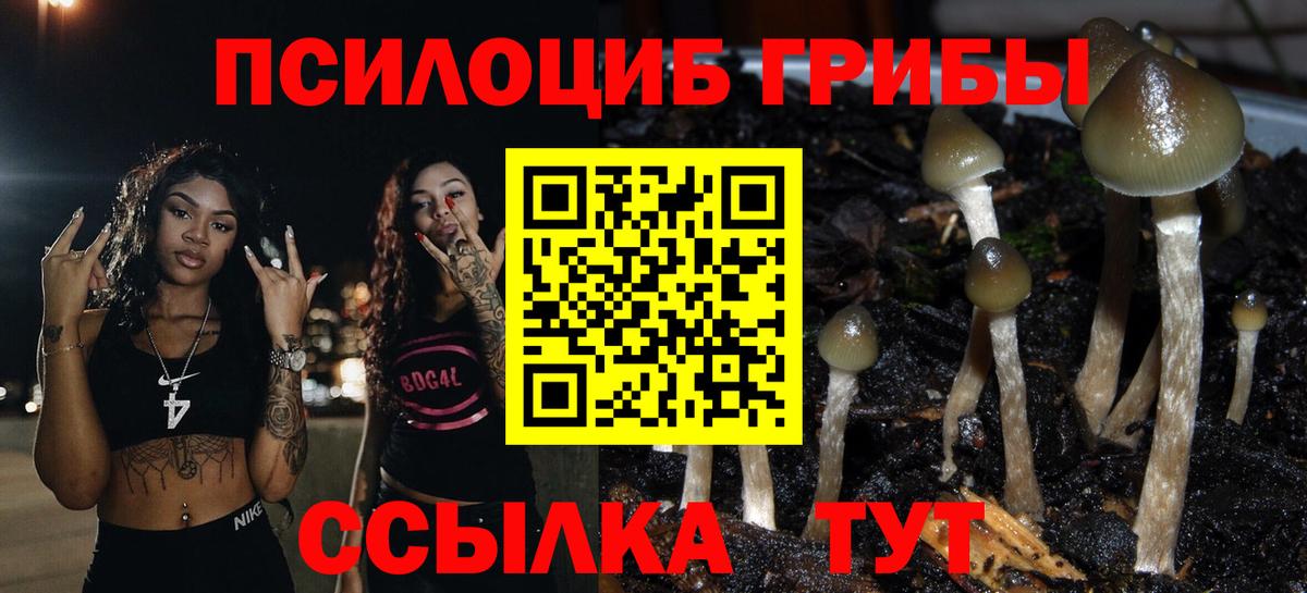 Галлюциногенные грибы мухоморы Добрянка